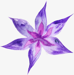 一朵紫色美丽花朵素材
