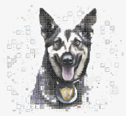 创意狗狗键盘图案素材