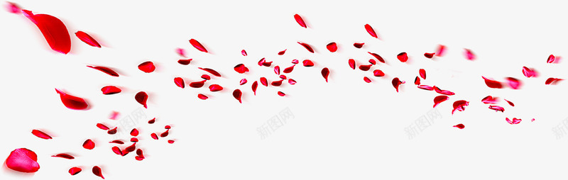 红色漂浮放射花瓣png免抠素材_88icon https://88icon.com 放射 漂浮 红色 花瓣 设计