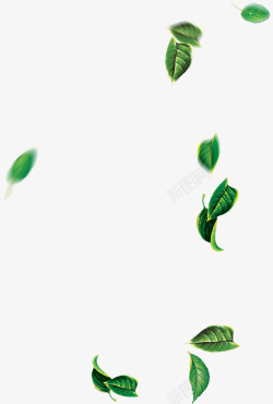 摄影夏日海报绿色漂浮树叶素材