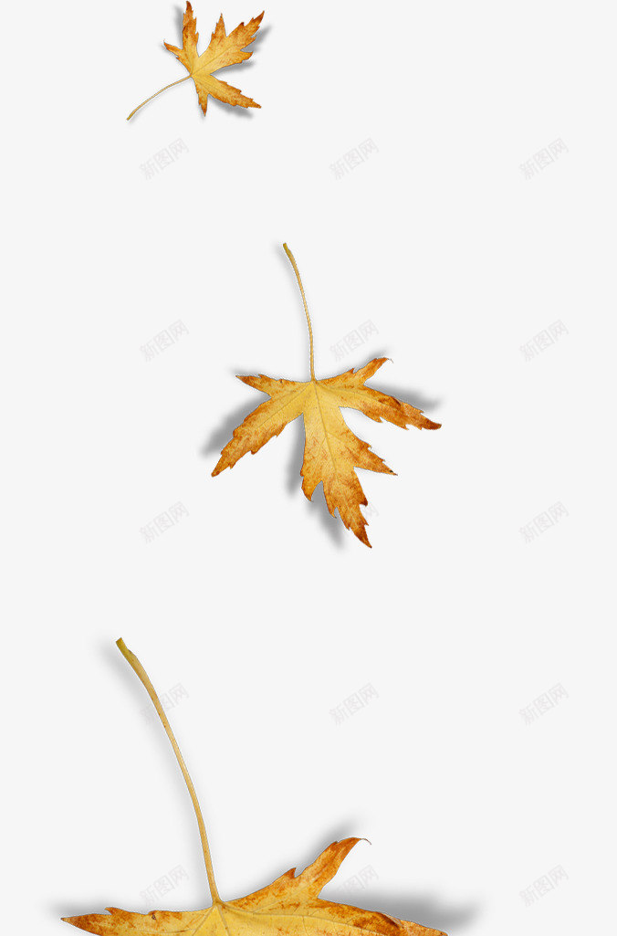 漂浮棕色树叶png免抠素材_88icon https://88icon.com 叶子 树叶 棕色树叶 漂浮树叶