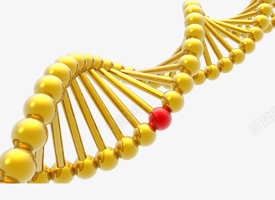 金色螺旋DNApng免抠素材_88icon https://88icon.com DNA双螺旋结构图片 分子结构 化学 科技