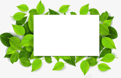 绿色植物框架素材