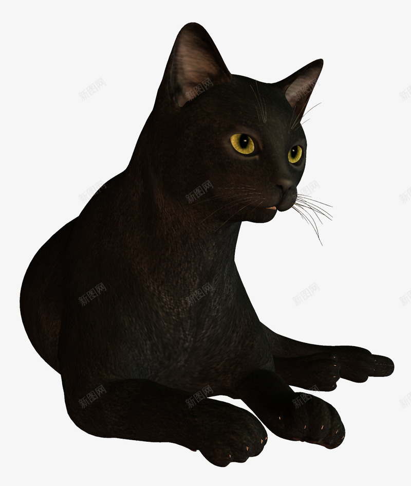 黑猫png免抠素材_88icon https://88icon.com 小猫咪 流浪猫 猫咪 野猫 黑猫 黑猫简笔画 黑猫背影