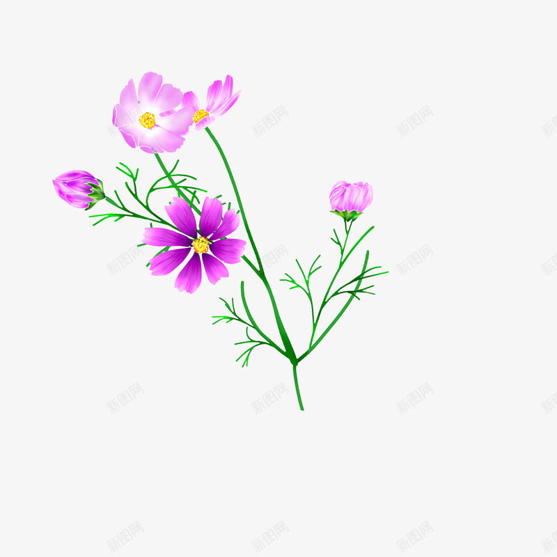 美丽紫色花朵png免抠素材_88icon https://88icon.com 日式花朵图案 植物花朵 花卉 花朵