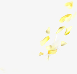 黄色梦幻漂浮花瓣唯美素材