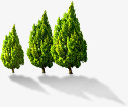 绿色大树美景树林素材