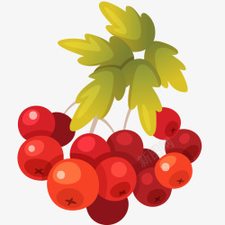 新鲜浆果免抠PNG新鲜浆果插画矢量图高清图片