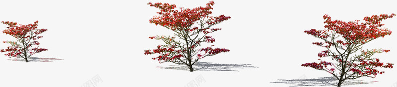 红色创意环境梅花树png免抠素材_88icon https://88icon.com 创意 环境 素材 红色 花树