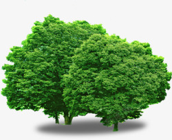 绿色春天卡通大树季节素材