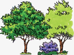 合成创意绿色的树木大树素材