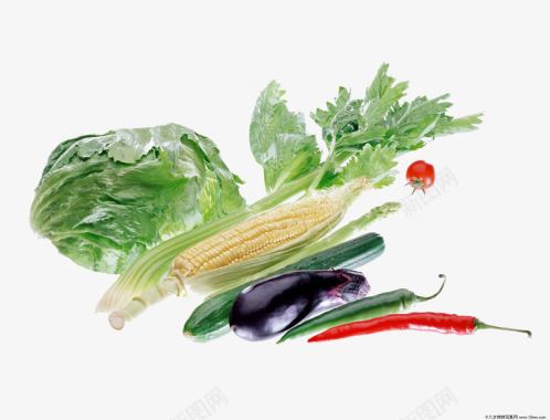 精品哈密瓜手绘蔬菜卡通食物精品清新图标图标