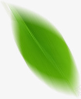 绿色模糊树叶漂浮装饰png免抠素材_88icon https://88icon.com 树叶 模糊 漂浮 绿色 装饰