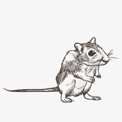 手绘的一只小老鼠素材