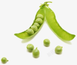 豆荚素材