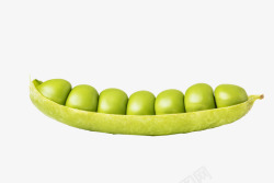 果实饱满饱满绿色豌豆实物高清图片