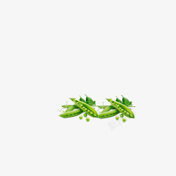 豌豆绿色蔬菜有机蔬菜素材