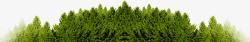 绿色清新大树树林素材