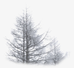 摄影雾霾环境大树素材