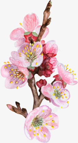卡通手绘美丽的桃花素材