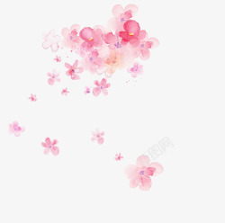 花花朵粉色花飘浮的花素材
