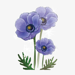 紫色花朵紫草小草素材