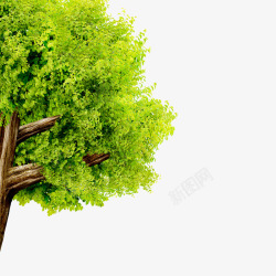 创意合成绿色的大树素材