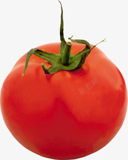 鲜红西红柿番茄素材