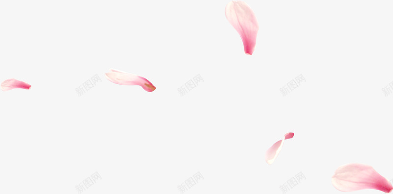 粉色古典花瓣漂浮装饰png免抠素材_88icon https://88icon.com 古典 漂浮 粉色 花瓣 装饰