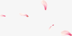 粉色古典花瓣漂浮装饰素材