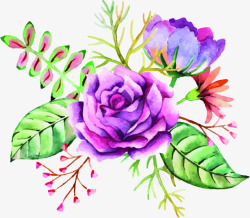 手绘紫色美丽花朵装饰素材