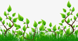 绿色春天景色树叶素材