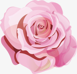 美丽的粉红色大花朵矢量图素材