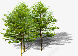 绿色大树景观绿化素材