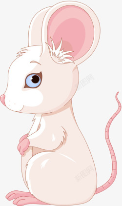 圆耳朵可爱的老鼠高清图片