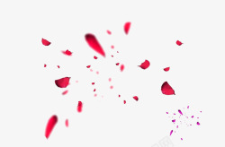 粉红色花瓣漂浮素材