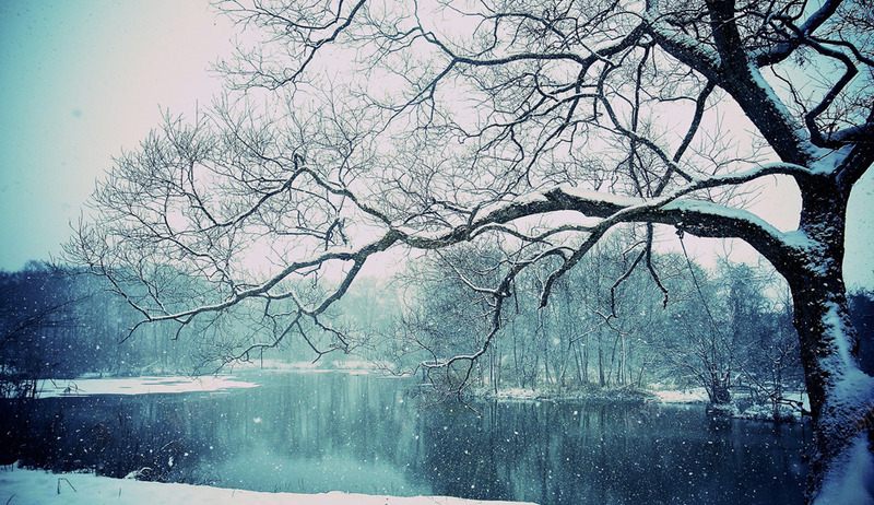 冬季湖面树林风景png免抠素材_88icon https://88icon.com 冬季 树林 湖面 风景