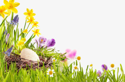 彩蛋花卉草丛中的蛋高清图片