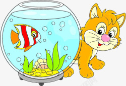 喂养鱼缸旁边的小黄猫高清图片