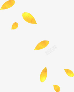 黄色花瓣飘落素材