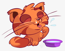 小猫喝水素材