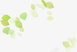清新漂浮绿色夏季透明树叶素材