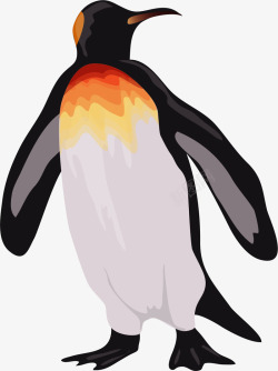 可爱卡通的小企鹅矢量图素材