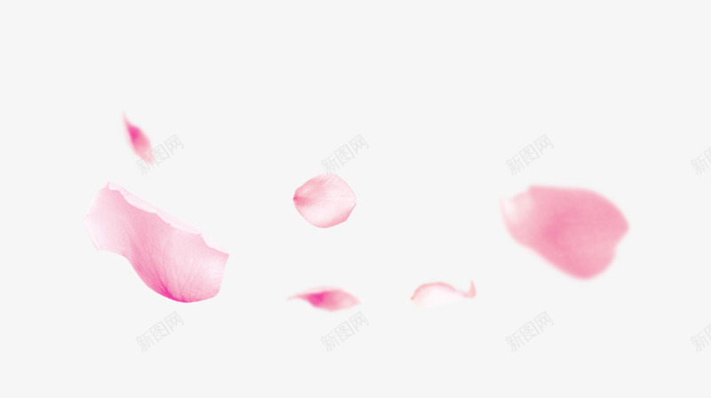 漂浮着的粉色花瓣png免抠素材_88icon https://88icon.com 漂浮素材 漂浮花瓣 粉色 粉色花瓣 花瓣