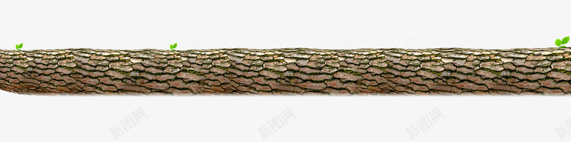 树干纹理png免抠素材_88icon https://88icon.com 树 树元素 树干 纹理 纹路 装饰图案