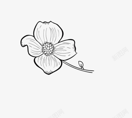 双色花朵美丽的花朵简笔画图标图标
