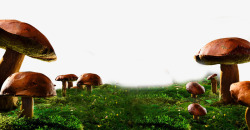 绿色的蘑菇草坪素材