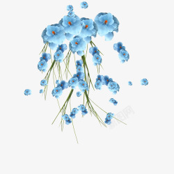 盛开的蓝色花朵素材