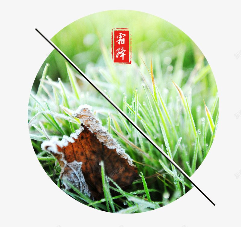 绿色小清新二十四节气png免抠素材_88icon https://88icon.com 二十四节气 小清新 小草 植物 绿色 绿色小清新二十四节气 霜降