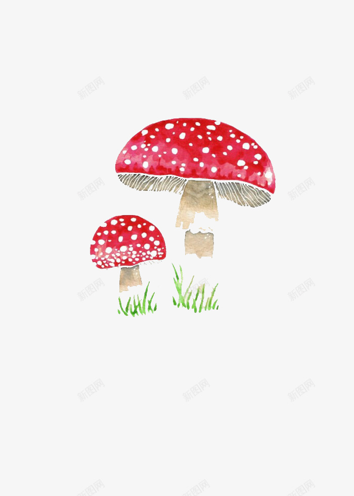 红蘑菇png免抠素材_88icon https://88icon.com 小草 毒蘑菇 红色 蘑菇